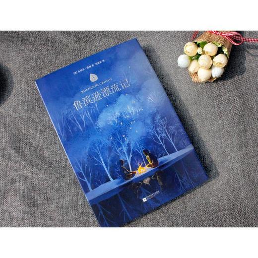 鲁滨逊漂流记 商品图1