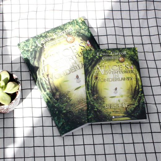 爱丽丝梦游仙境 商品图3