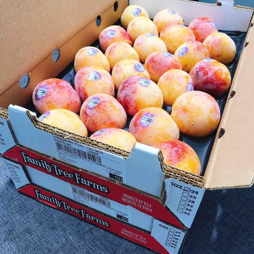 美国火龙蛋名字和颜色一样充满魔力新鲜靓丽果粉好硬度高入口脆嫩鲜甜