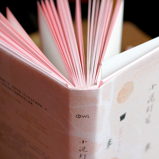 小说灯笼  精装珍藏版 《人间失格》作者太宰治幽默浪漫小说集  日本经典外国文学小说  囊括作者不为读者所知的每一面 商品图3