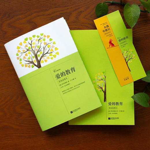 爱的教育 商品图1