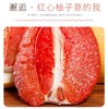 三红柚红心蜜柚礼盒装 商品缩略图4