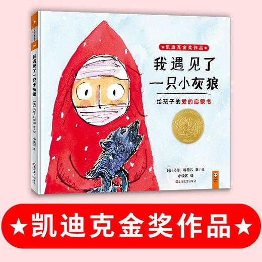 我遇见了一只小灰狼 商品图1