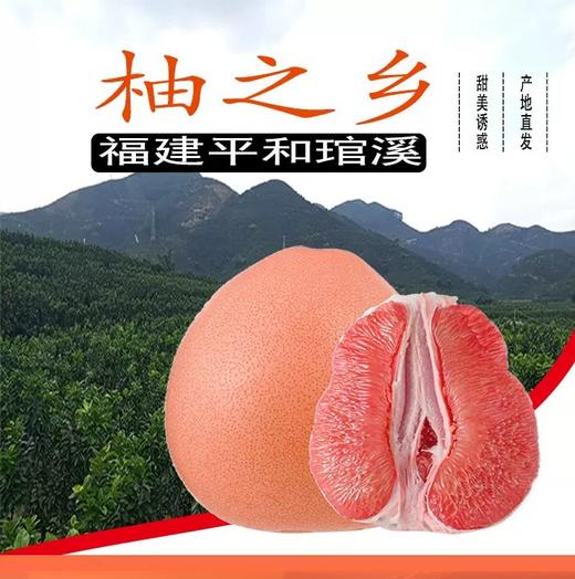 三红柚红心蜜柚礼盒装 商品图2