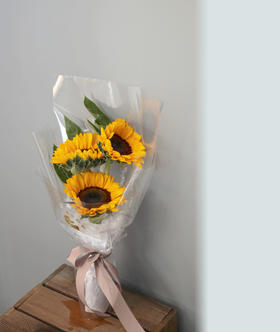 【校园礼花】送你一束阳光