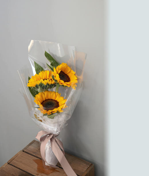 【校园礼花】送你一束阳光 商品图0