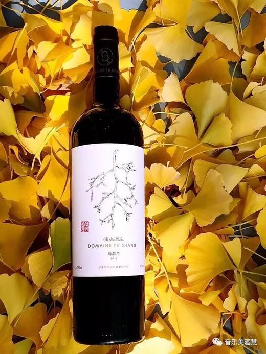 宁夏第一家金奖马瑟兰！不可不试——蒲尚酒庄马瑟兰红葡萄酒 商品图0