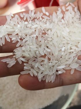 稻鸭共育 老品种有机贡米 新上市 十斤装 大米