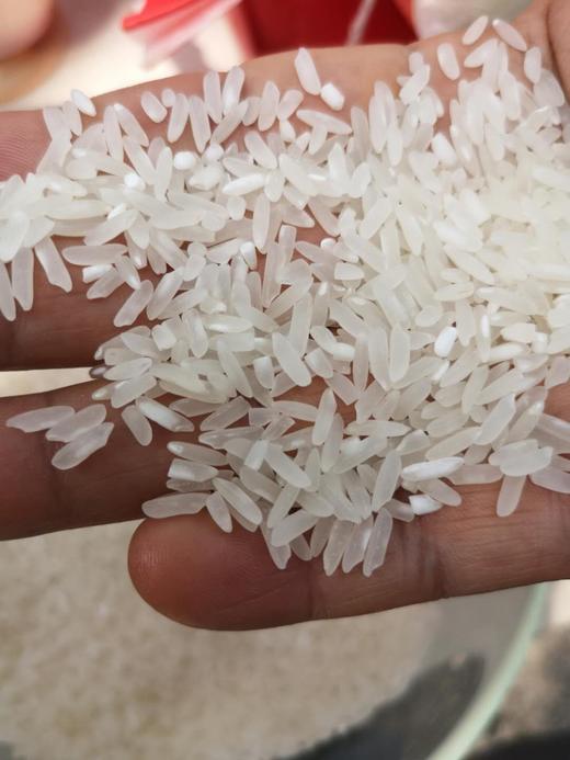 稻鸭共育 老品种有机贡米 新上市 十斤装 大米 商品图0