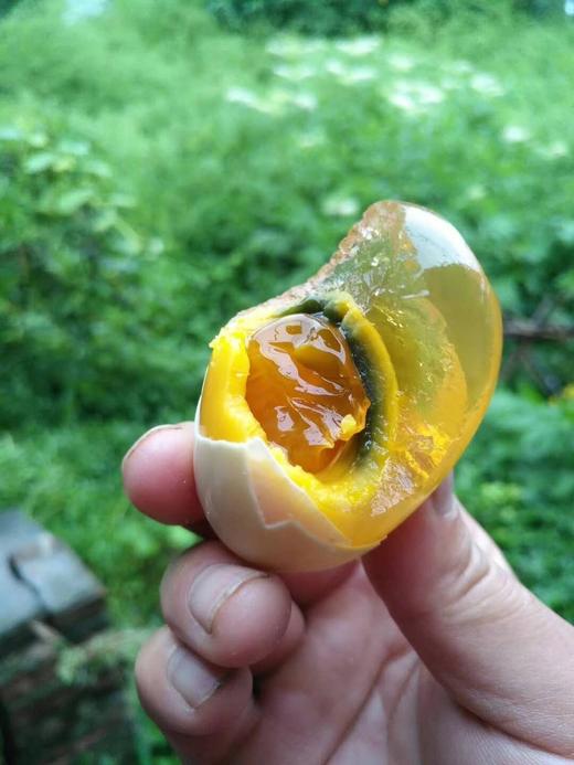 吃中草药果园放养土鸡鸭、土鸡蛋，无抗无激素 商品图13