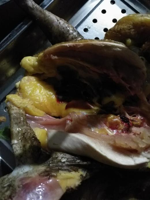 吃中草药果园放养土鸡鸭、土鸡蛋，无抗无激素 商品图8