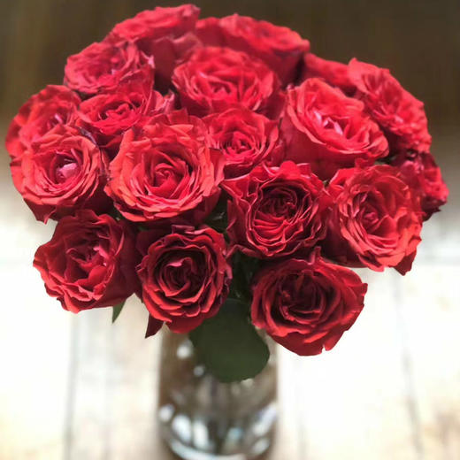 珍爱玫瑰10支装 包邮 - 拉芙鲜花