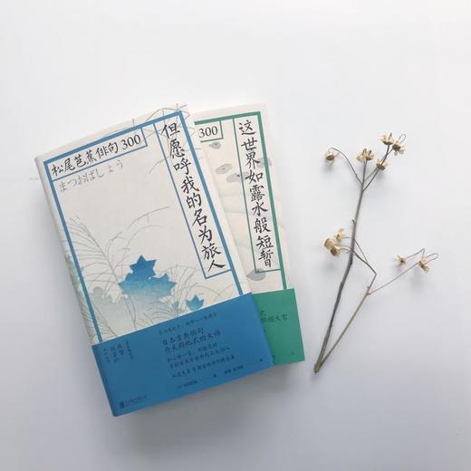 但愿呼我的名为旅人/松尾芭蕉俳句300/日松尾芭蕉 商品图2