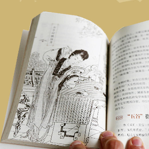 《中华文化百科全书 · 传统常识实用读本》| 你想知道的中国文化常识都在这里 商品图2
