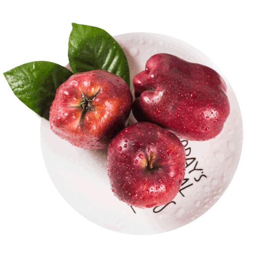 【甘肃天水 花牛苹果】新鲜花牛粉面苹果 现摘现发当季水果 商品图2