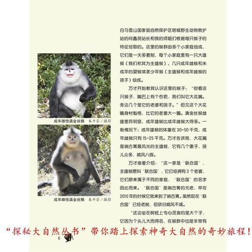 红唇美猴传奇 商品图2