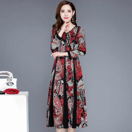 YWE-19ZQ55秋季新款印花时尚气质优雅连衣裙 商品图2