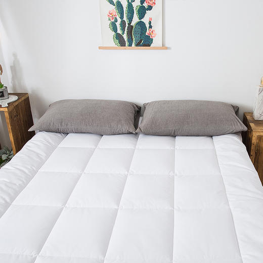老米优品 / m*ji代工！回购率敲篙的无印纯棉立称床垫 ！软软的,舒服又保暖~~ 商品图1