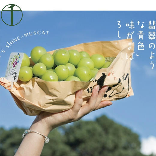 【会员32.5/斤】云南钻石晴皇阳光玫瑰青提 特级 商品图9