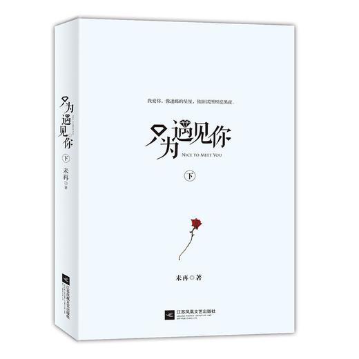 只为遇见你(2册) 商品图4