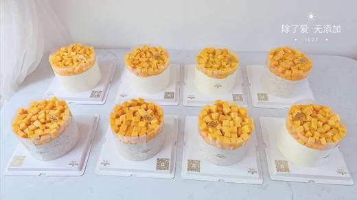 1027CAKE | 芒果多多 多水果 商品图7
