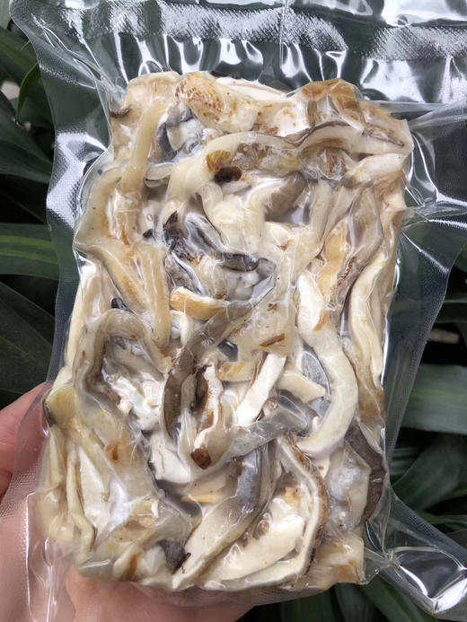 秒杀价14元购鲨鱼皮一包 商品图5