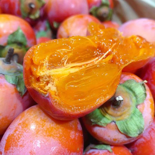 【当季时令软柿子】小吊柿子,口感糯甜好吃,成熟纯