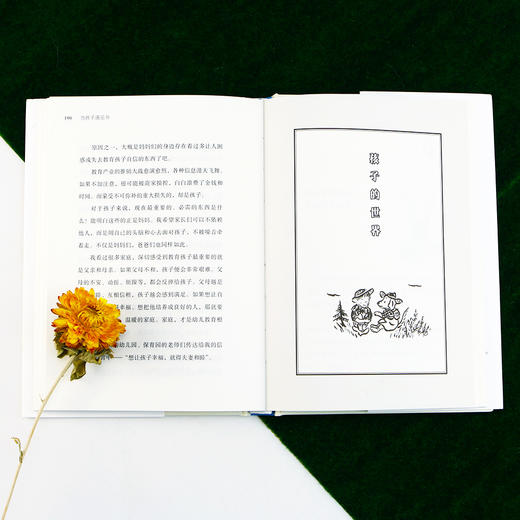 当孩子遇见书（日本国民绘本作家中川李枝子 关于育儿、绘本、读书的随笔。 适合家长、绘本及儿童文学研究者、学前教育从业者。 “希望所有孩子都能热爱阅读，感受书籍带来的人生的希望和自信。”） 商品图5