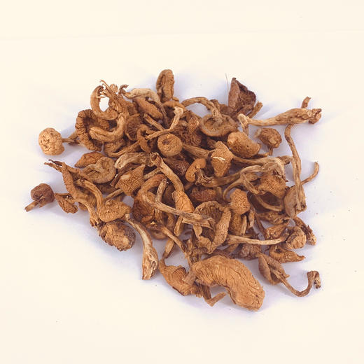 农之乐 甘肃山丹特产 干黄菇 80g