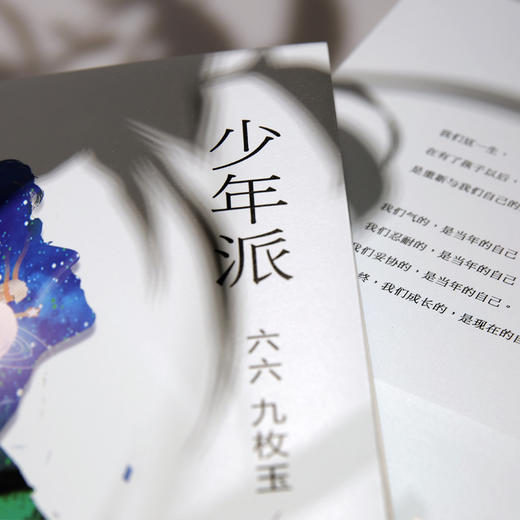 少年派 商品图2