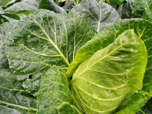 记得回家吃饭 ｜生态蔬菜包 ｜蔬菜配送 ｜不要忘了包装哦 商品图6