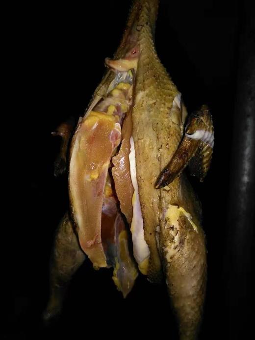 吃中草药果园放养土鸡鸭、土鸡蛋，无抗无激素 商品图6