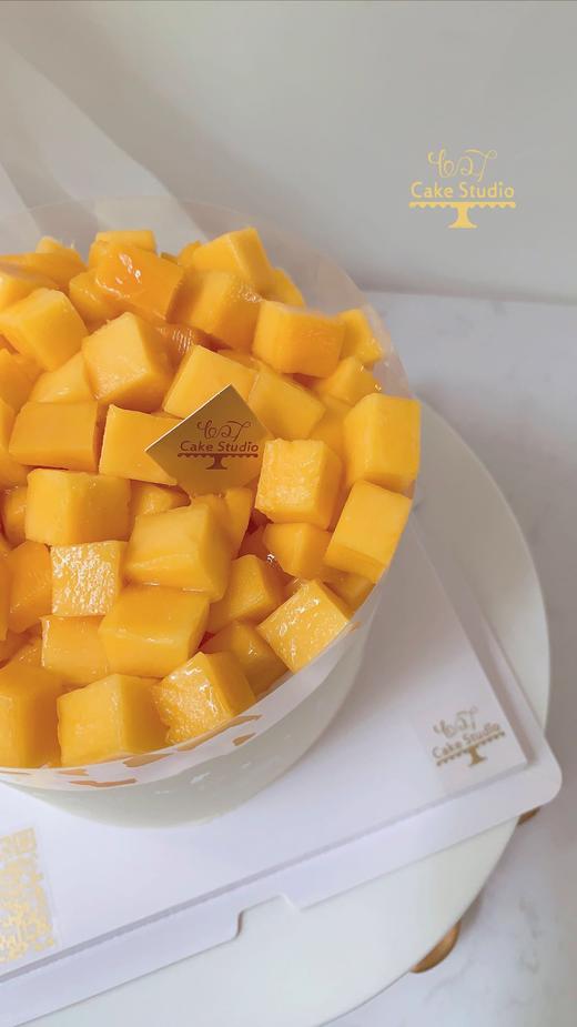 1027CAKE | 芒果多多 多水果 商品图4