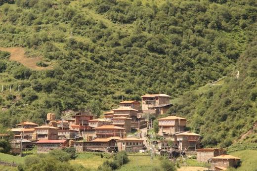 海拔3千以上高原野生青冈木耳 125克 商品图4