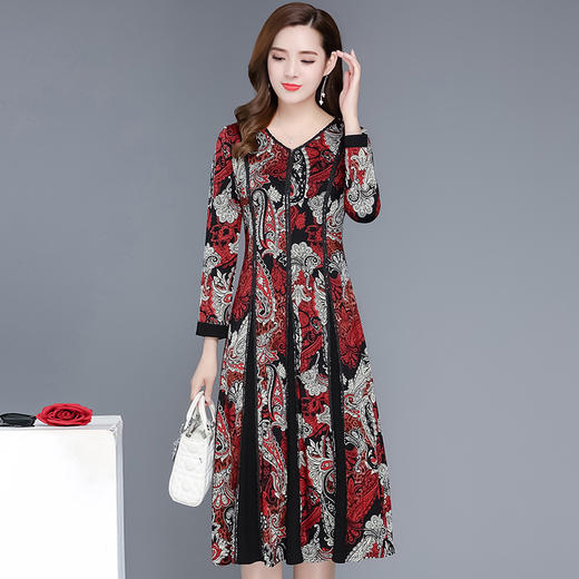 YWE-19ZQ55秋季新款印花时尚气质优雅连衣裙 商品图3