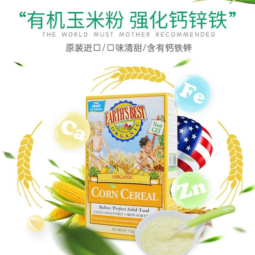 美国 地球最好/爱思贝 婴儿宝宝辅食米糊 227g (6个月以上) 商品图4