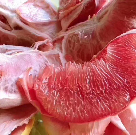 月阳果小红柚爆款来袭皮薄多汁红肉个个都很漂亮