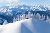 【定金】2019年度Schild Skiracing School5日冬季滑雪训练营1月19日出发 商品缩略图6