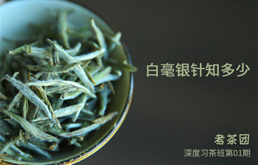 【茶评】03：2014年匠心白毫银针 商品图0