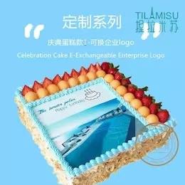 庆典蛋糕I款 商品图0