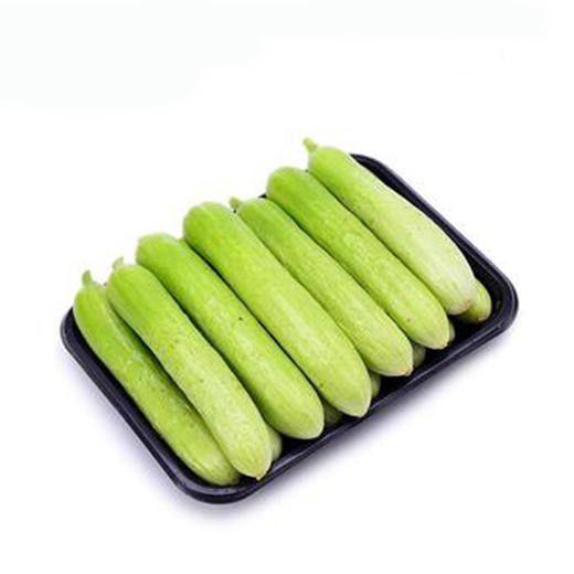 彩虹雨 新鲜青菜 有机蔬菜 月脂黄瓜250g 农场配送 京津冀满百包邮 商品图1