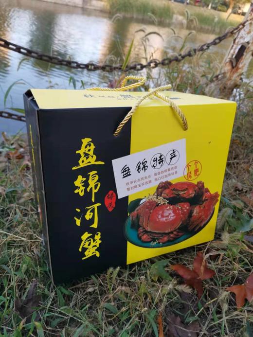 预售 周四到货【盘锦稻田蟹】18只/箱，更鲜甜、更香浓 商品图6