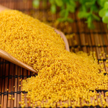 神池黄小米 商品图1