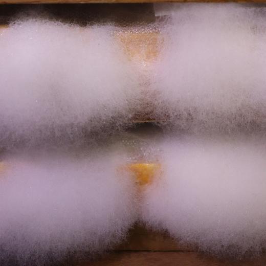 鲜辣豆腐乳 | 绿家自产* Fermented bean curd | Self-production 商品图1