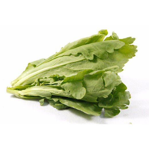 彩虹雨农场  新鲜有机蔬菜 茼蒿蓬蒿250g  欧盟认证全国发货满额包邮 商品图2