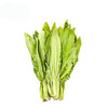 彩虹雨 新鲜有机蔬菜 油麦菜250g 欧盟认证京津冀满百包邮 商品缩略图2