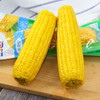 【会员7.5/根】DOLE都乐 非转基因玉米棒 净含量200g/根 商品缩略图3