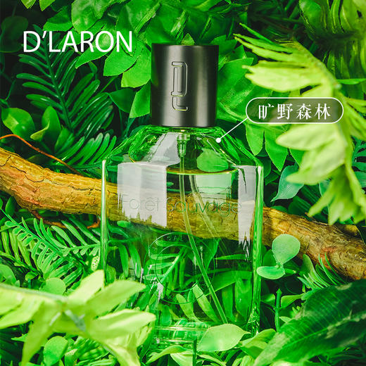 D'LARON迪拉瑞 进口淡香水 持久留香中性香水 旷野森林Foret Sauv 商品图3