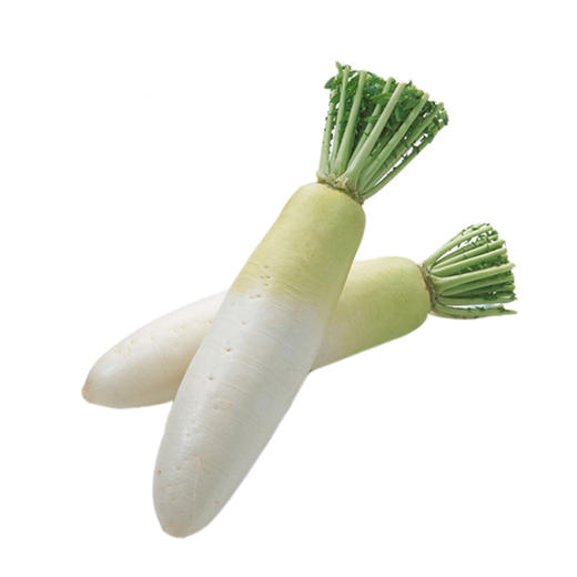 彩虹雨 新鲜有机蔬菜  白萝卜500g  欧盟认证全国发货满额包邮 商品图2
