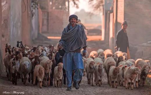 巴基斯坦罕萨山谷杏花、雪山风光、人文10天摄影团 商品图5